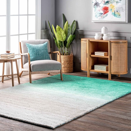 Nuloom Handmade Ombre Shag Area Rug 5ft x 8ft HJOS02A-508